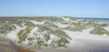 A view of the fore-island dunes down island.